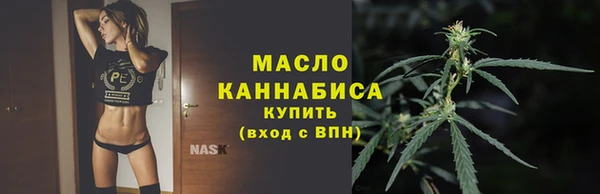 Альфа ПВП Ельня