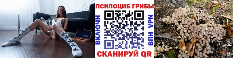 blacksprut зеркало  Вичуга  Псилоцибиновые грибы GOLDEN TEACHER 