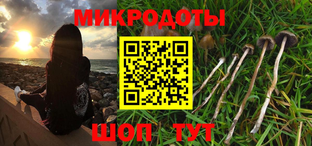 где купить наркоту  Псилоцибиновые грибы Psilocybine cubensis  Вход с VPN  Вичуга 