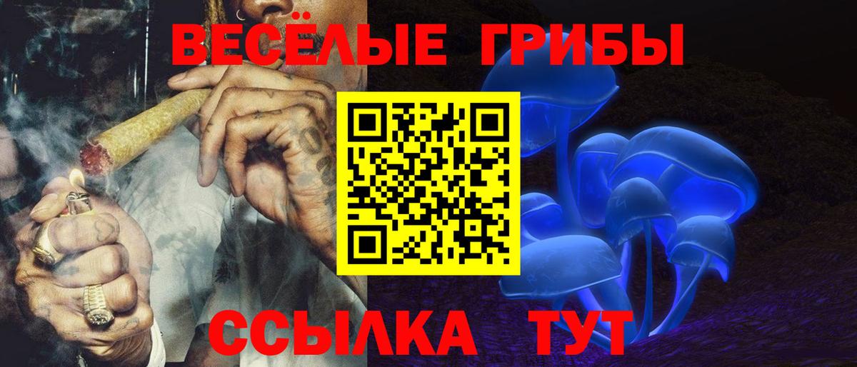 Галлюциногенные грибы ЛСД Вичуга
